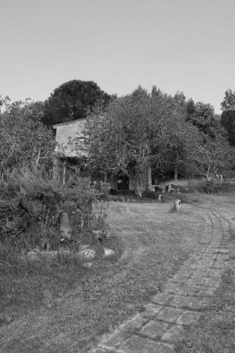 Podere Tepolino