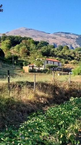 Bed & Breakfast Agriturismo Gentile