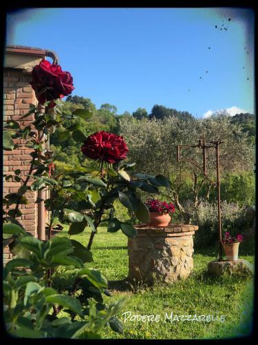 Podere Mazzarelle