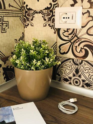 Apartamento Classic Home