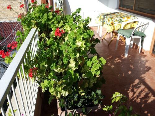 Apartamento Villa Delle Palme