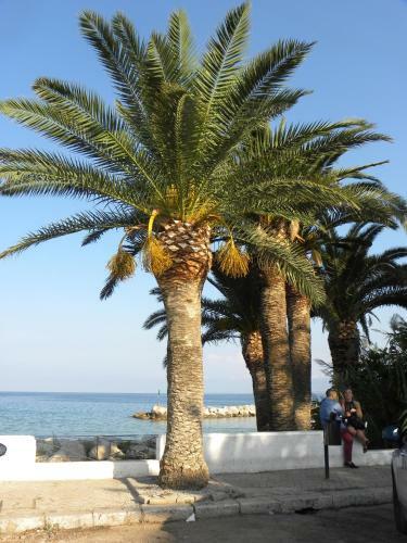 Apartamento Villa Delle Palme