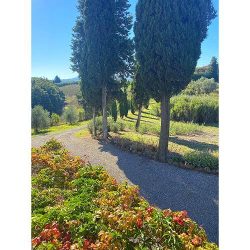 Villa Casa Collina Castelfalfi