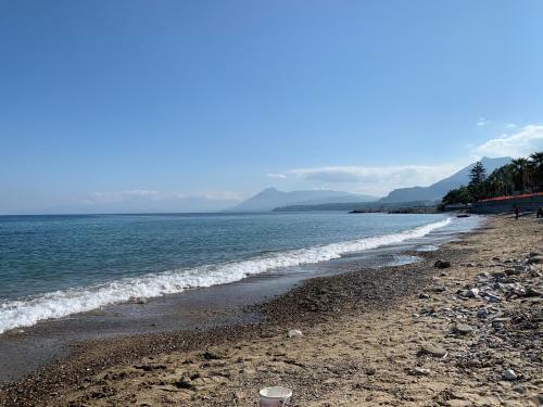 Hostal Solus B&B