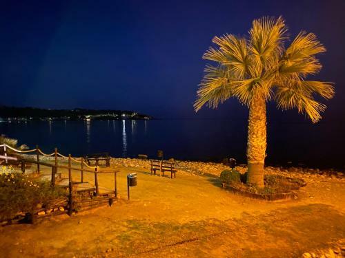 Hostal Solus B&B