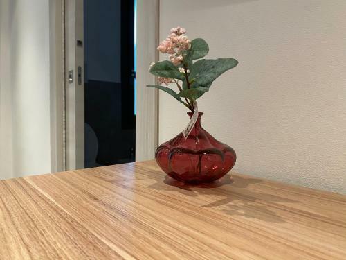 Hostal Solus B&B