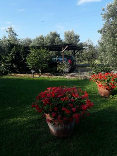 Villetta 3 Km Dal Mare