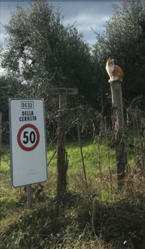 Villetta 3 Km Dal Mare