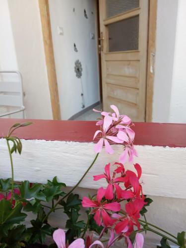Apartamento Da Valentina