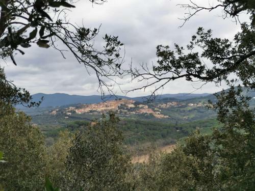 Podere Agnese App. 1 - Castagneto Carducci