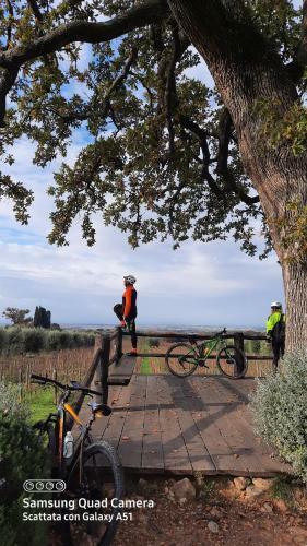 Podere Agnese App. 1 - Castagneto Carducci