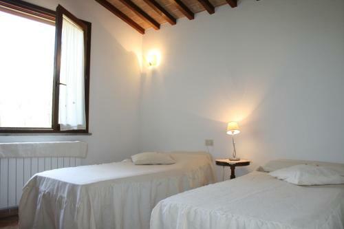Graziosa Casetta Con Piscina