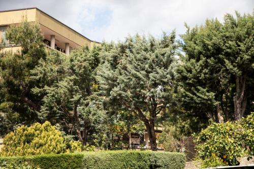Bed & Breakfast L' Albero Di Giada