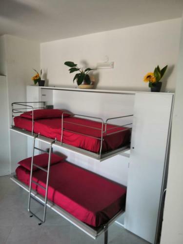 Apartamento Jeko Break