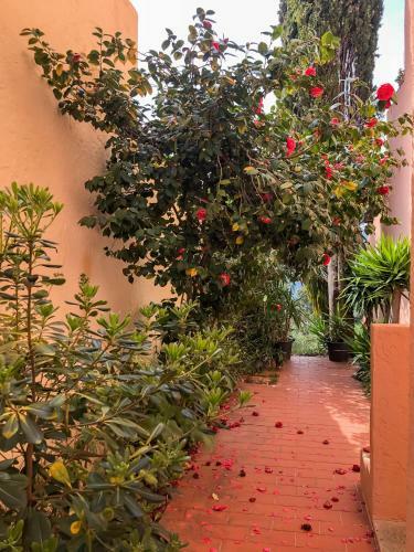 Apartamento La Maison D'aurel