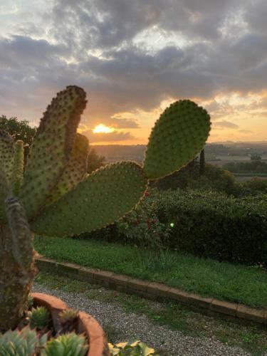 Sunset Hill - Tuscany