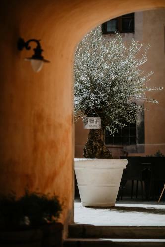 The Garden House