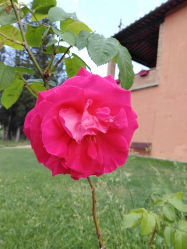 Bed & Breakfast Villa Niccoli