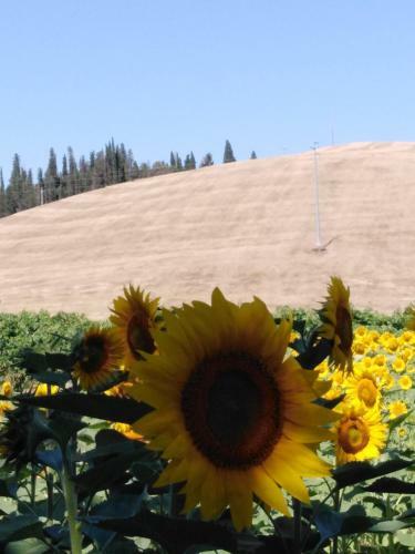 Bed & Breakfast Villa Niccoli