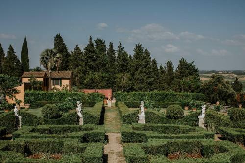 The Olive House