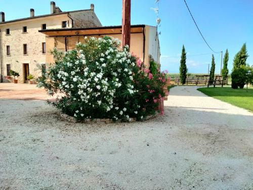 Agroturismo San Pietro Lt