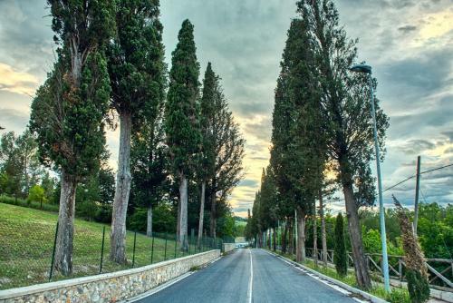 Apartamento Holiday Home In Tuscany