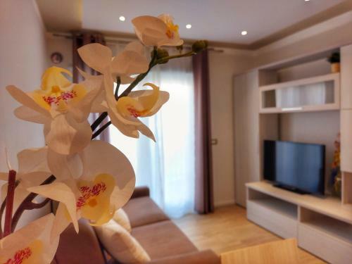 Apartamento La Ginestra C&b House