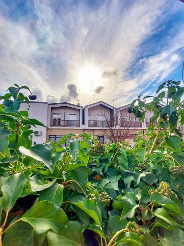 Apartamento La Ginestra C&b House