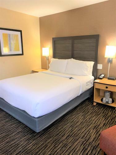 Hotel Holiday Inn Dublin - Pleasanton