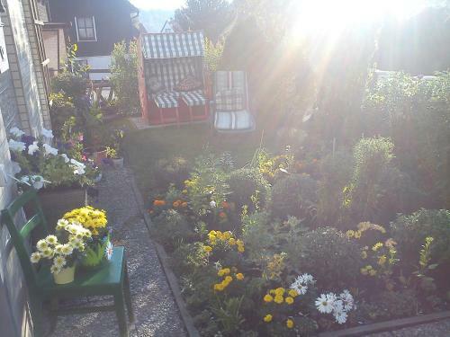 Hostal Guest House Haus K�nigskopf