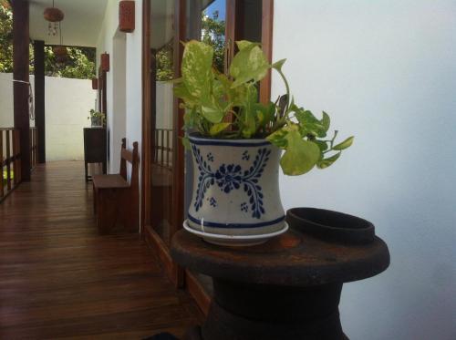 Bed & Breakfast Luna De Agua