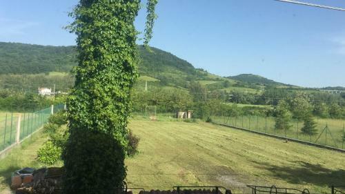 Apartamento I Tre Noci