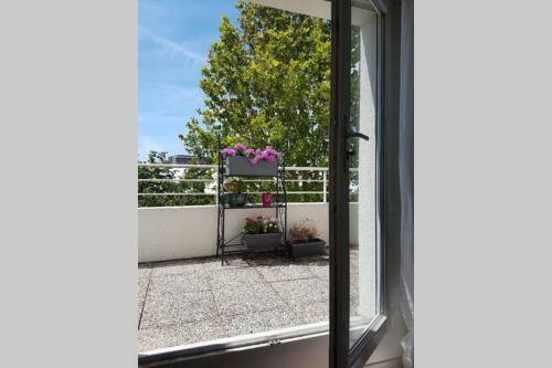 Apartamento Luxueux T2, Toit-terrasse