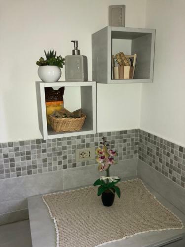 Apartamento Casa Il Gallo
