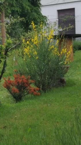 Apartamento B & B Sentiero Valtellina