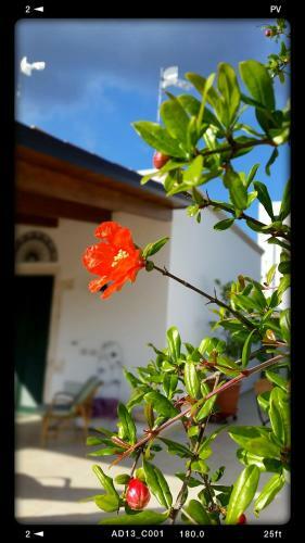 Agroturismo Trullo Ai Cento Sassi