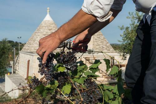 Villa Trulli Ericla Con Campo Da Tennis