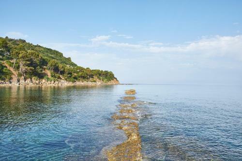 Apartamento Appartamento Del Pescatore