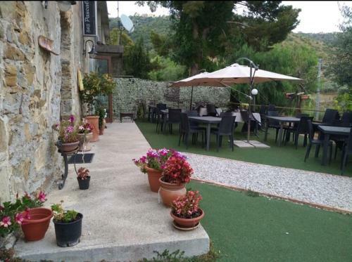 B&B Pascale