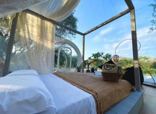 Bubble Room Suite