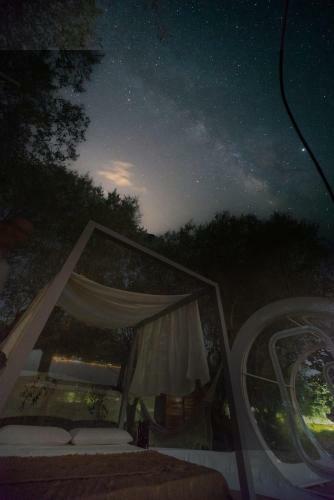 Bubble Room Suite