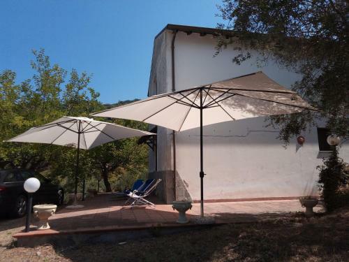 L'antica Quercia B&B