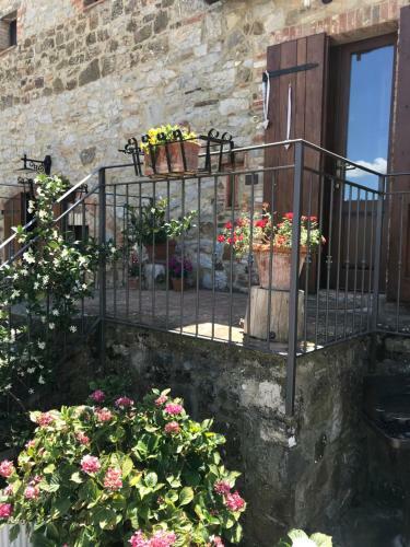 Salto Di Gatto