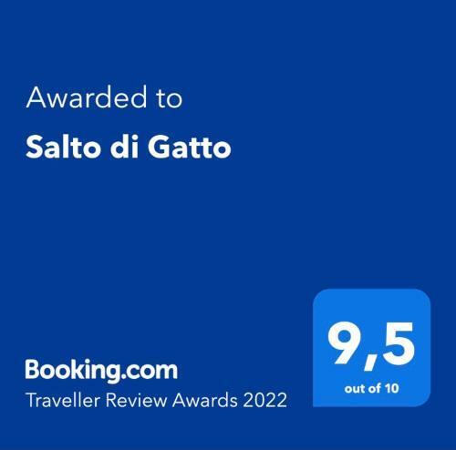 Salto Di Gatto