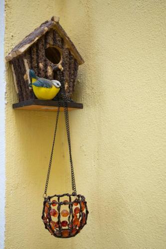 Apartamento Elegance House