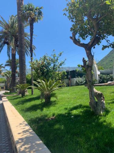 Bed & Breakfast Villa Lucia