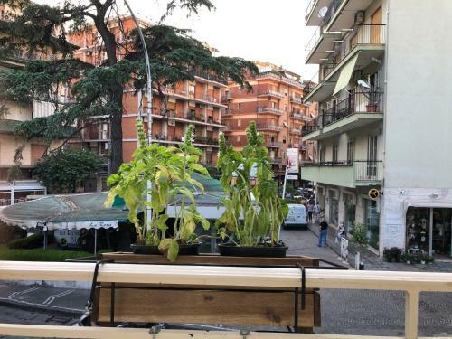 Apartamento Stabia Holiday House