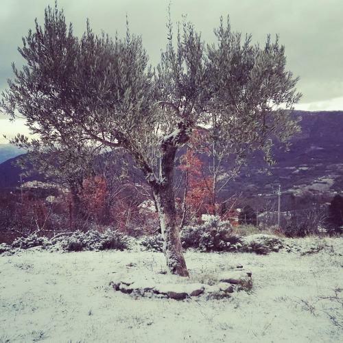 B&B La Montagna Rosa