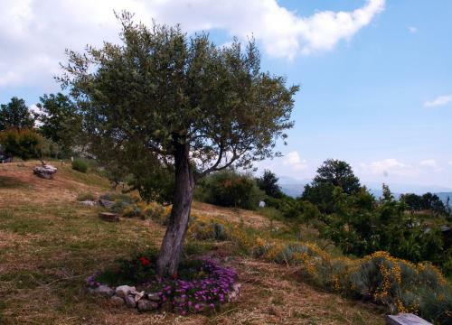 B&B La Montagna Rosa