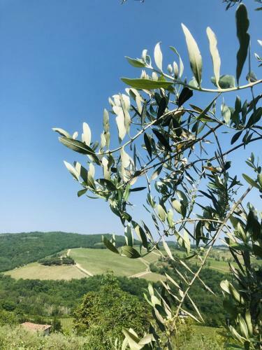 Apartamento Mea Casa Toscana